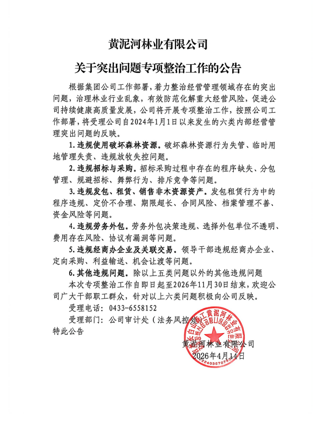 關于突出問題專項整治工作的公告_01.png